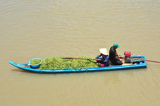 Vỡ đê bao khiến hơn trăm héc ta lúa chìm trong nước - ảnh 6