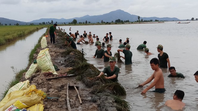 Hàng trăm người “căng mình” gia cố đê bao bảo vệ lúa - ảnh 1