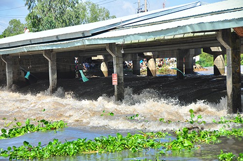 Chính thức xả đập Tha La và Trà Sư ở đầu nguồn lũ An Giang - ảnh 3