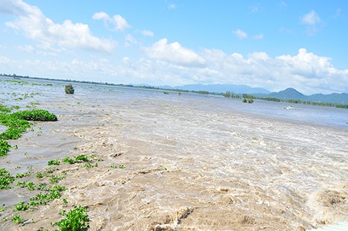 Chính thức xả đập Tha La và Trà Sư ở đầu nguồn lũ An Giang - ảnh 4