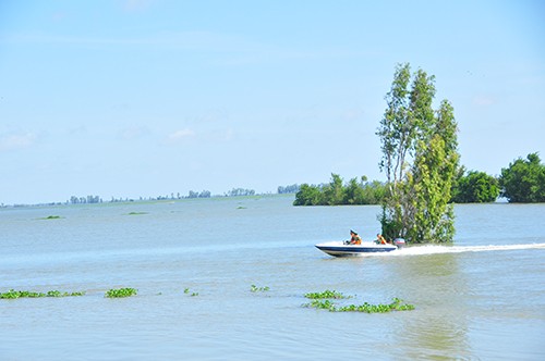 Chính thức xả đập Tha La và Trà Sư ở đầu nguồn lũ An Giang - ảnh 8