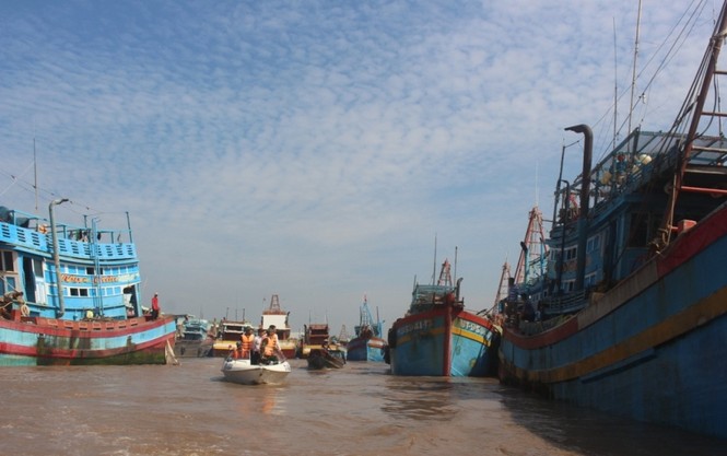Các tỉnh miền Tây sẵn sàng ứng phó bão - ảnh 2