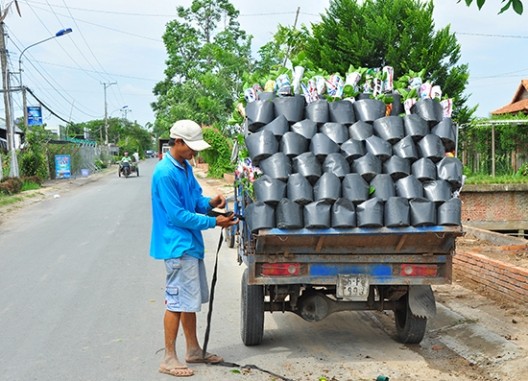  “Thủ phủ” hoa Sa Đéc cung cấp 3 triệu giỏ hoa Tết - ảnh 5