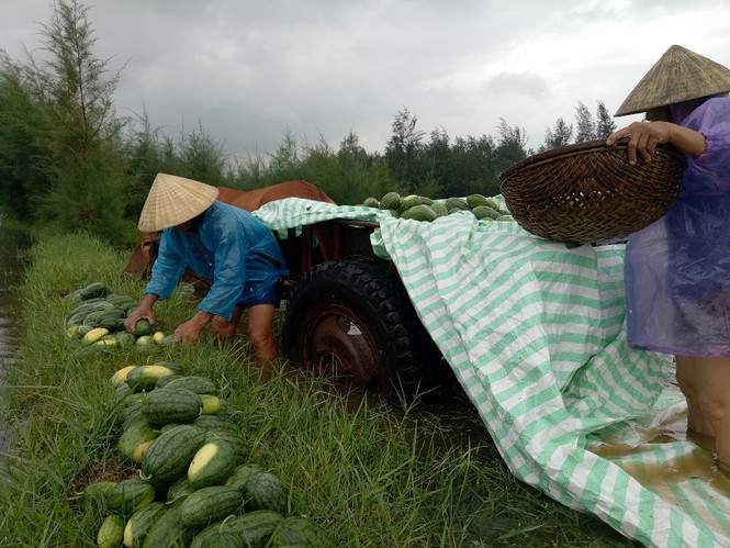 Mưa nhiều ngày gây ngập lụt, sạt lở nhiều nơi ở Thanh Hóa - ảnh 2