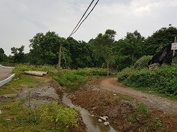Phá đường lên động Tiên Sơn: 'Bảo kê' hay coi thường pháp luật? - ảnh 1
