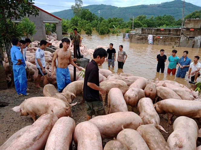 Sập 2 cầu treo ở Quan Hóa - ảnh 7