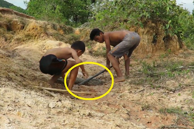 Clip: Rùng mình với cảnh 2 cậu bé bắt sống trăn - ảnh 1
