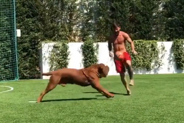 Clip: Messi phô diễn kỹ thuật cá nhân điêu luyện bên cạnh cún cưng - ảnh 1