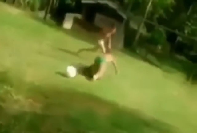 Clip: Cún cưng xử lý bóng chẳng kém Messi - ảnh 1