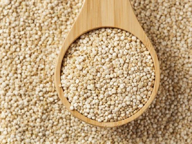 Giống cây thần kỳ có khả năng “loại bỏ muối” khi trồng trên đất mặn - ảnh 3