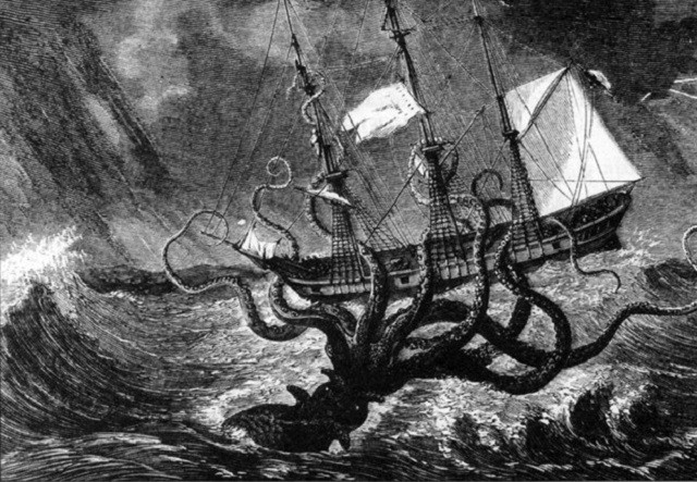 Mực khổng lồ nước sâu, hiện thân của quái thú Kraken - ảnh 2