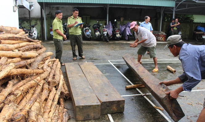 Bắt gỗ lậu ở Quảng Nam - ảnh 1
