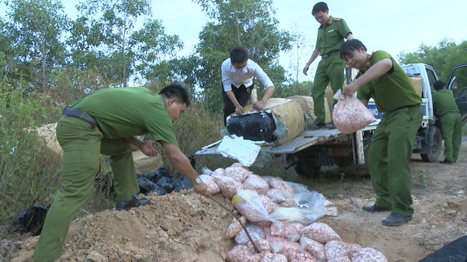 Tiêu hủy khẩn cấp 1 tấn sụn gà thối ở Quảng Trị - ảnh 1