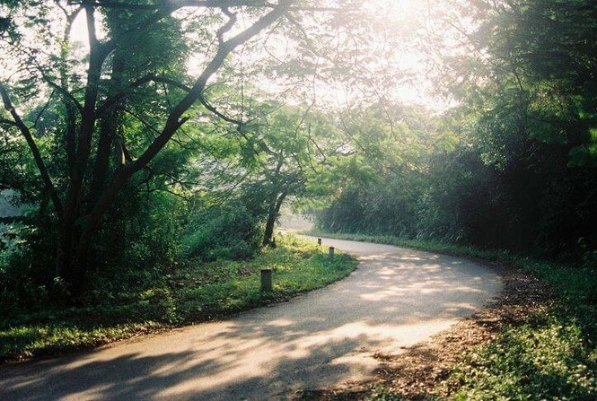 5 điểm mát xanh gần Hà Nội 'trốn nóng' những ngày hè 40 độ C - ảnh 8