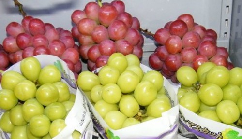 Những trái cây Nhật có giá gấp chục lần hàng Việt - ảnh 4