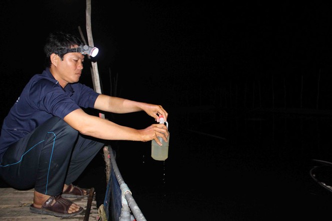 An Giang: Cá nuôi trong bồn cao su chết hàng loạt - ảnh 1