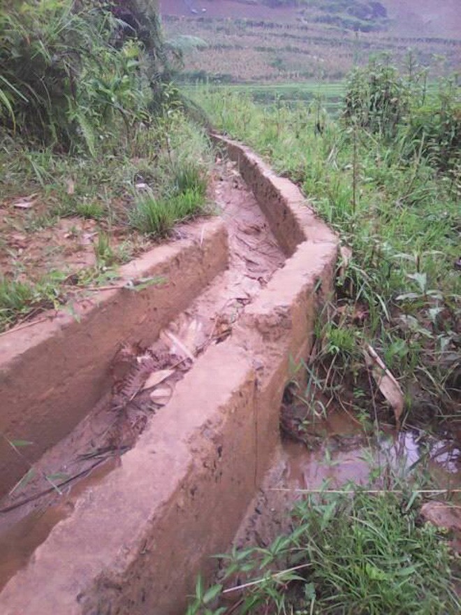 'Bị' tài trợ thoát nghèo - ảnh 2