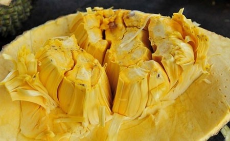 Ăn mít làm giảm nguy cơ ung thư - ảnh 1