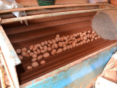 Nhuộm màu, tẩy tem: Hàng Trung Quốc thành đặc sản Đà Lạt - ảnh 1