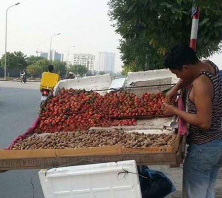Nhuộm màu, tẩy tem: Hàng Trung Quốc thành đặc sản Đà Lạt - ảnh 2