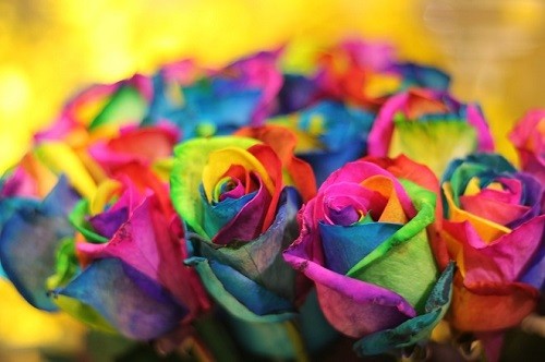 hoa-hong-Flower-box-13-JPG.jpg