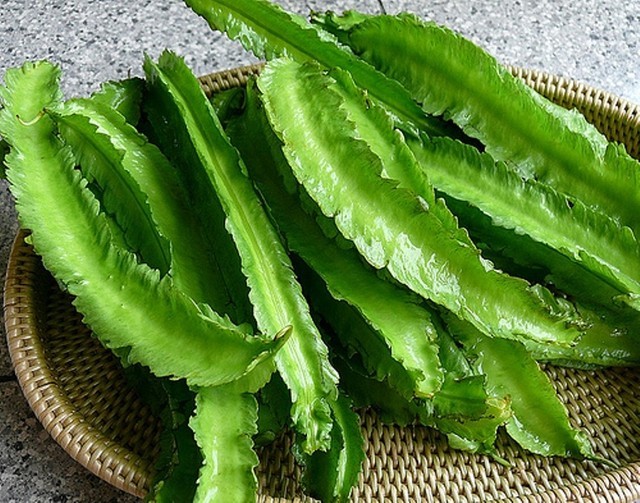 Hạt đậu rồng ra với muối, xay nhuyễn dùng để dùng chữa các bệnh đau dạ dày Hạt đậu rồng ra với muối, xay nhuyễn dùng để dùng chữa các bệnh đau dạ dày