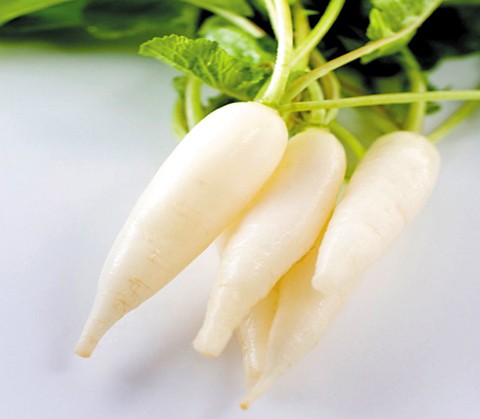 10 công dụng phòng, chữa bệnh từ củ cải - ảnh 2