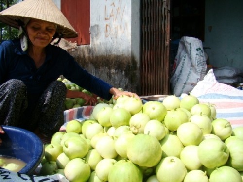 Mẹo chọn dưa ngon không lo ngộ độc - ảnh 2