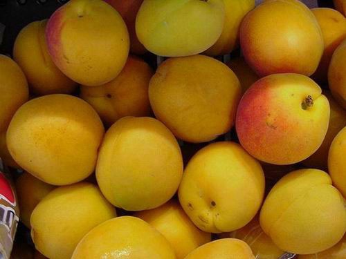 Lợi ích sức khỏe từ quả mơ