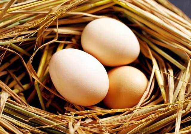 Cách bảo quản trứng tốt nhất vào mùa hè cách bảo quản trứng tốt nhất