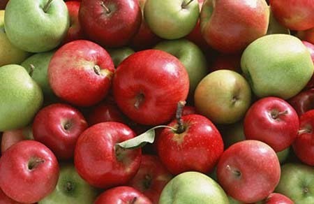 8 thực phẩm giúp bảo vệ da khỏi tác hại của ánh nắng - ảnh 1