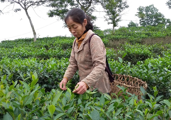 Gia đình của Tú Ngọc trong đám cưới của em gái.
