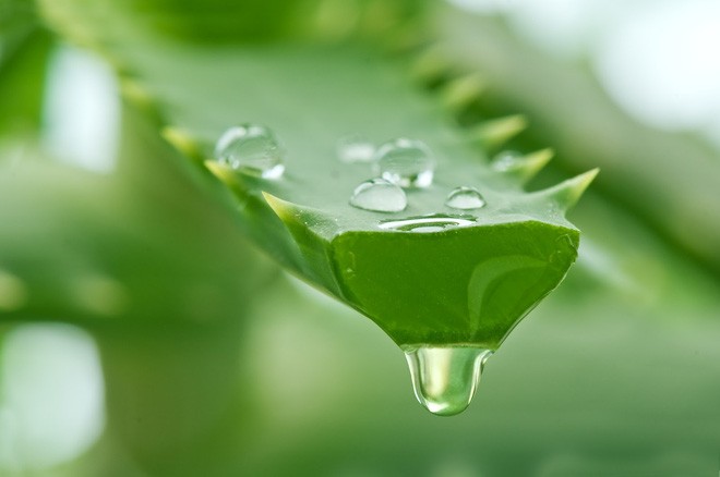 Hội chứng rò rỉ ruột: Tây y
