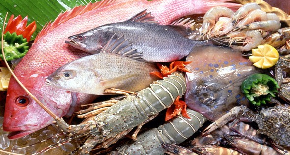 Món ăn yêu thích ngày Tết này có thể gây ngộ độc chết người - ảnh 1