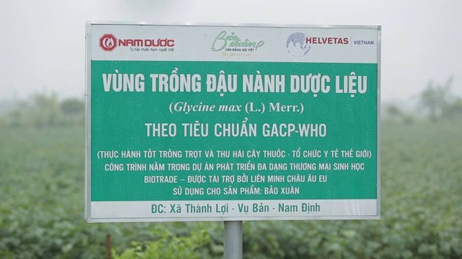 Mách chị em ‘bí quyết’ đẹp da, trẻ lâu nhờ đậu nành - ảnh 2