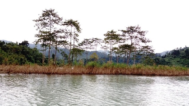 Cảnh đẹp sông Hương - ảnh 13