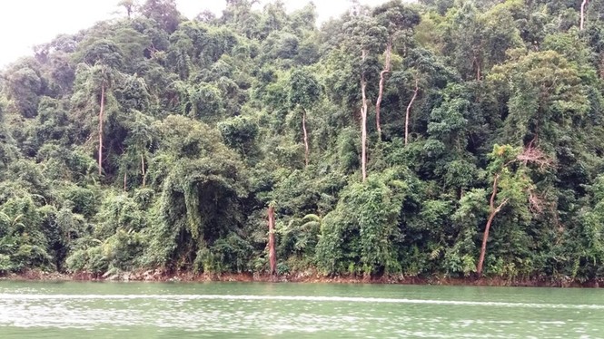 Cảnh đẹp sông Hương - ảnh 5