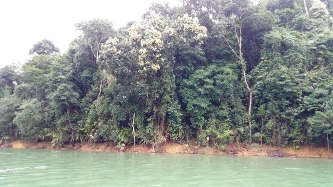 Cảnh đẹp sông Hương - ảnh 10