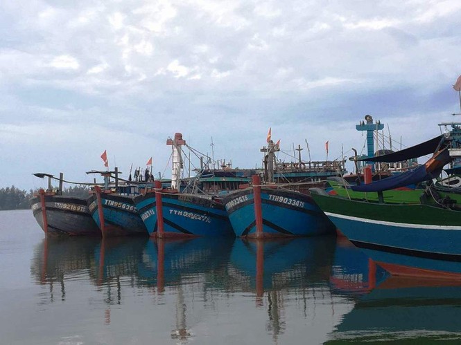 Cấm biển, gọi xong tàu thuyền vào bờ tránh bão trước 19 giờ hôm nay - ảnh 1