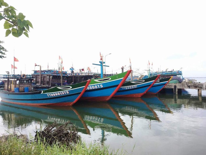 Cấm biển, gọi xong tàu thuyền vào bờ tránh bão trước 19 giờ hôm nay - ảnh 3