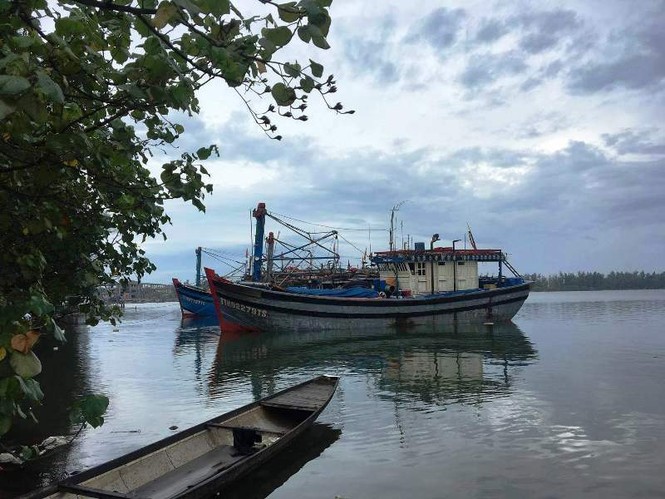 Cấm biển, gọi xong tàu thuyền vào bờ tránh bão trước 19 giờ hôm nay - ảnh 5