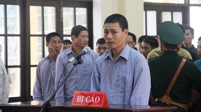 Xét xử vụ phá rừng Pơ mu ở Quảng Nam: Cứ làm tẹt ga, không sao đâu - ảnh 3