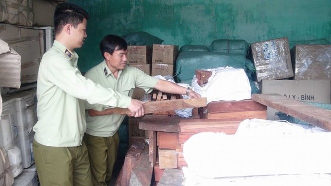 Bắt xe tải chở 1,7 tấn gỗ hương trắc không rõ nguồn gốc - ảnh 1