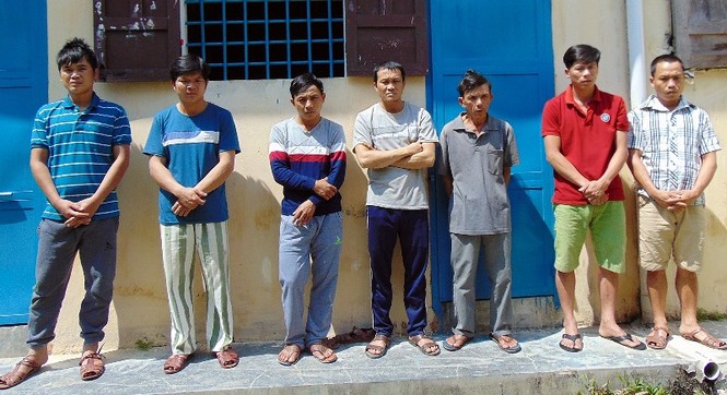 Phá đường dây phá rừng quy mô lớn ở Quảng Nam - ảnh 1