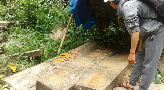 Phá rừng phòng hộ Sông Kôn - ảnh 1