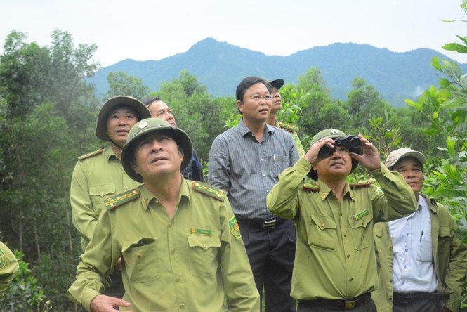 Quảng Nam lên phương án bảo vệ đàn Vooc Chà vá quý hiếm - ảnh 2