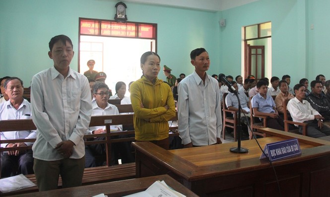 3 đối tượng hầu tòa vụ phá rừng phòng hộ Tiên Lãnh - ảnh 1