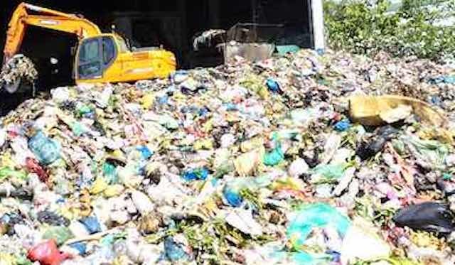 Bãi rác tạm trên rừng phòng hộ là sai - ảnh 1
