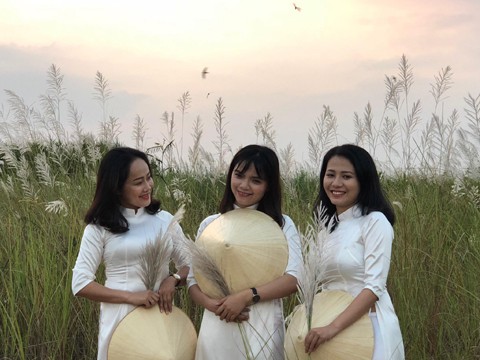 Bức tranh tuyệt tác mang tên hoa cỏ lau bên dòng Trà Khúc - ảnh 10