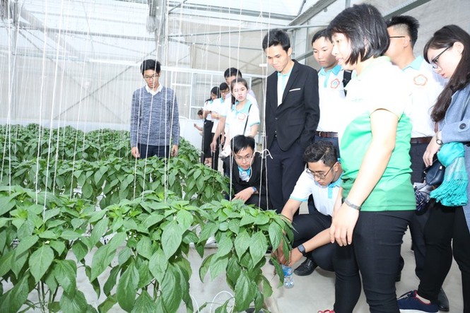 Đổi thay bản thân từ 'Sinh viên 5 tốt' - ảnh 4